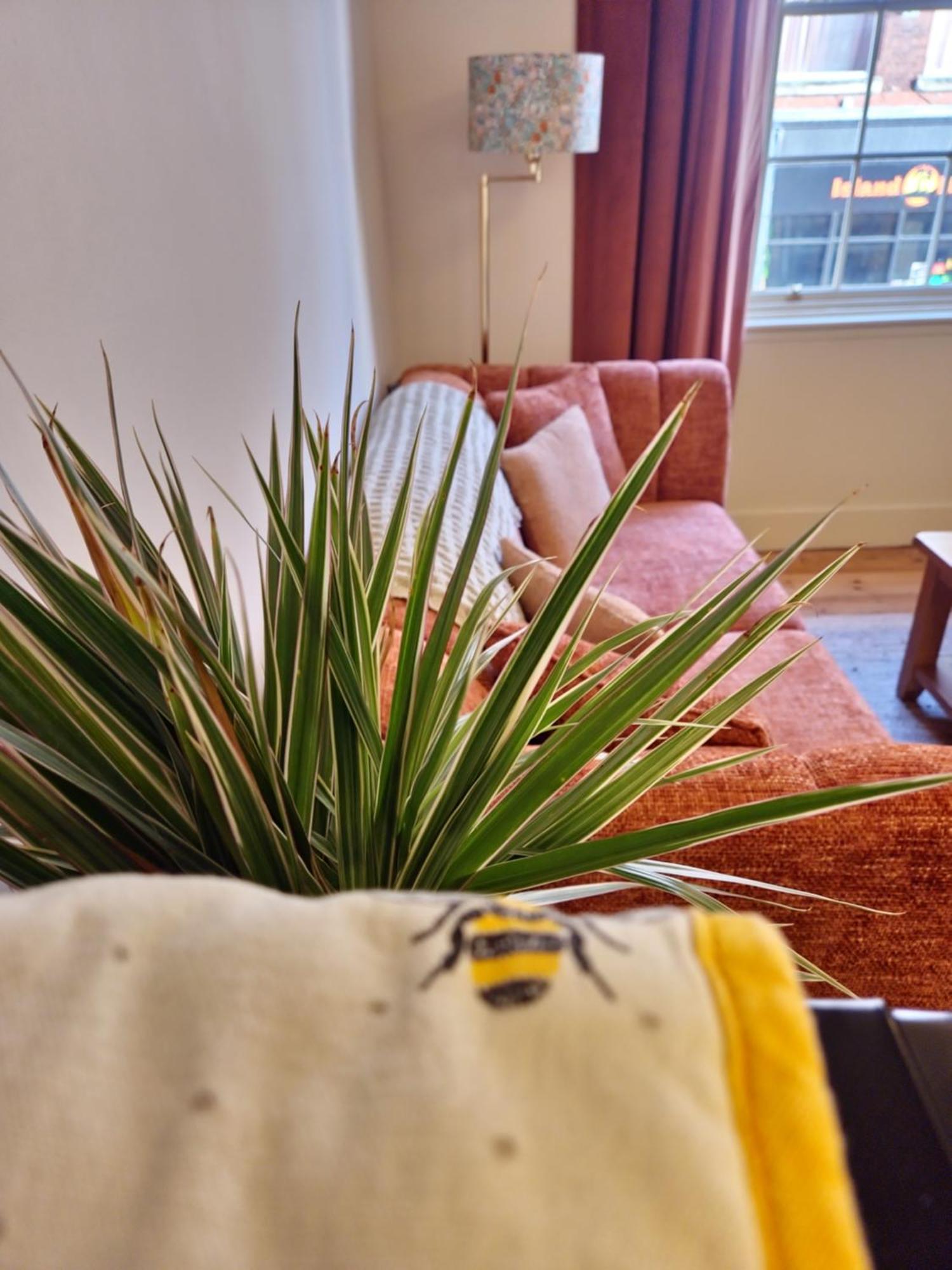 Central Gloucester Self-Catering Flat - A Hidden Gem Esterno foto